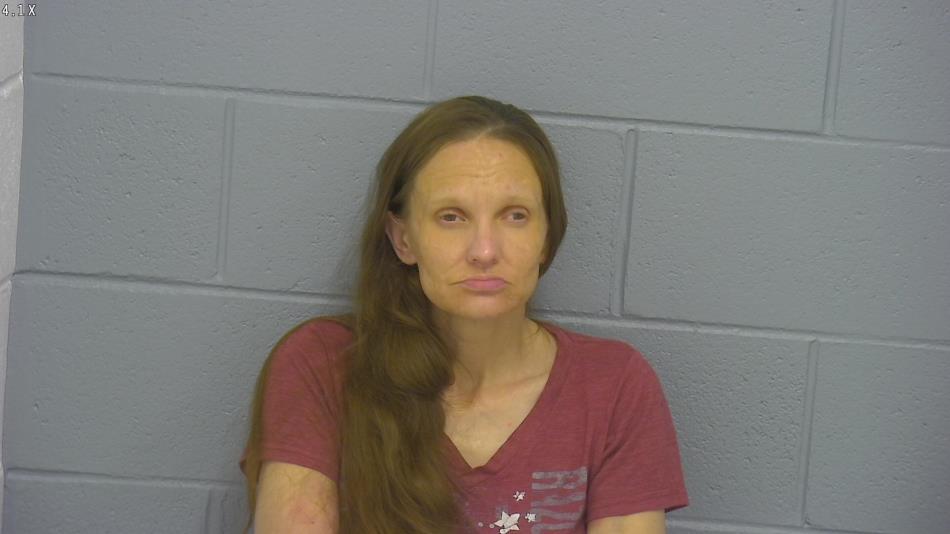 Arrest photo of NICCOLE KOLLER