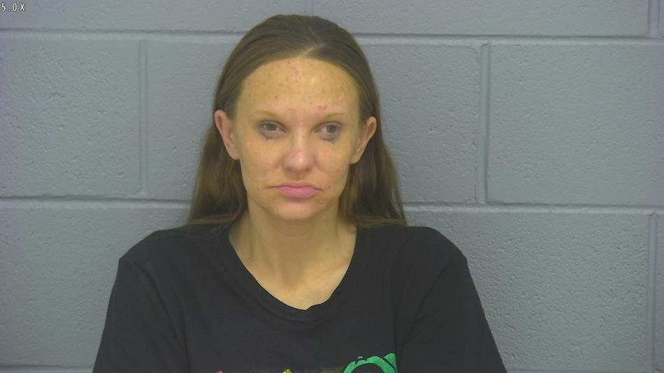 Arrest photo of NICCOLE KOLLER