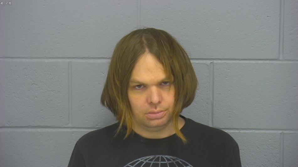 Arrest photo of NICHOLAS ANDERSON