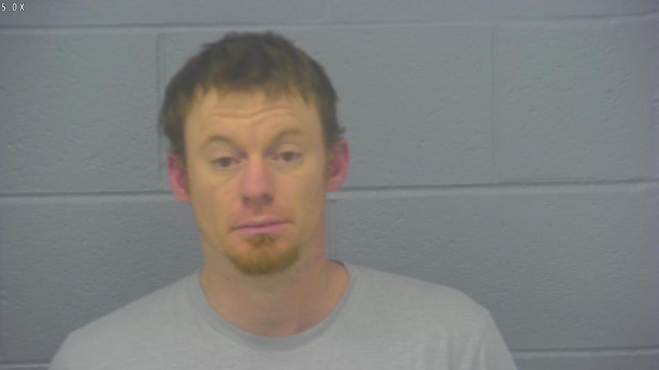 Arrest photo of NICHOLAS JOHNSON