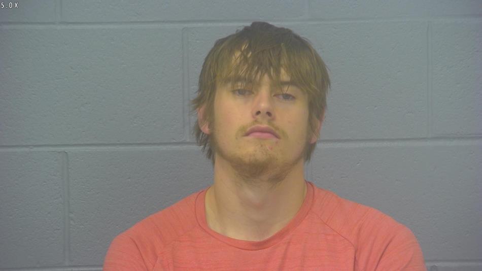 Arrest photo of NICHOLAS MCCLELLAND