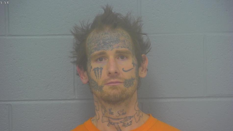 Arrest photo of NICHOLAS MCDOWELL