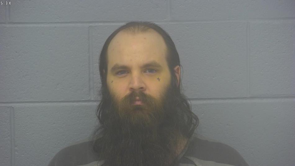 Arrest photo of NICHOLAS MILLER