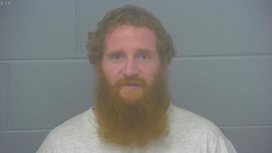 Arrest photo of NICHOLAS MILLER