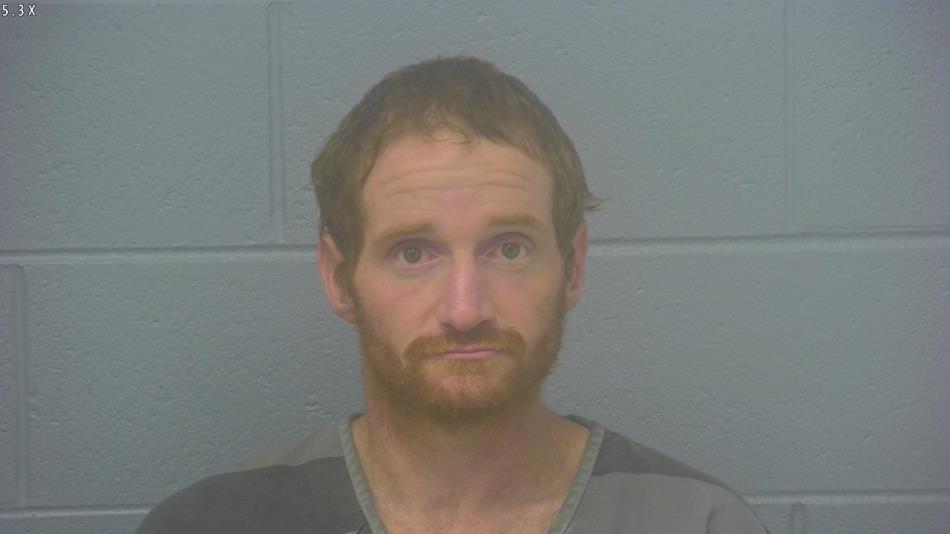 Arrest photo of NICHOLAS MILLER