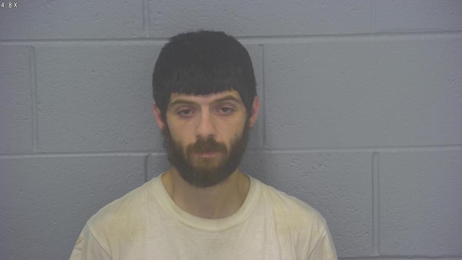 Arrest photo of NICHOLAS SANNA