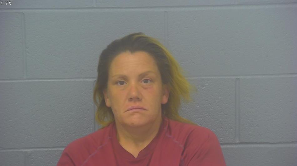 Arrest photo of NICHOLE TERRILL