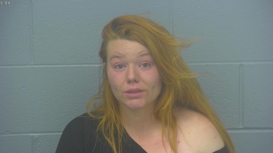 Arrest photo of NICHOLE CHRISTIANSON