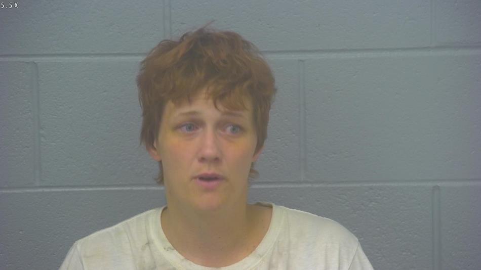 Arrest photo of NICHOLE KESTELOOT