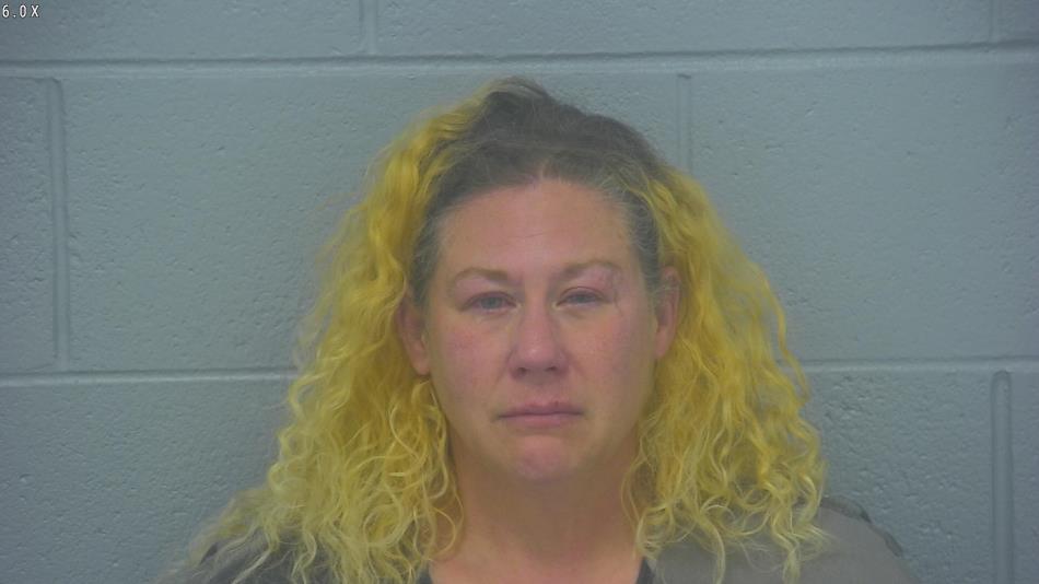 Arrest photo of NICHOLE WOLFF