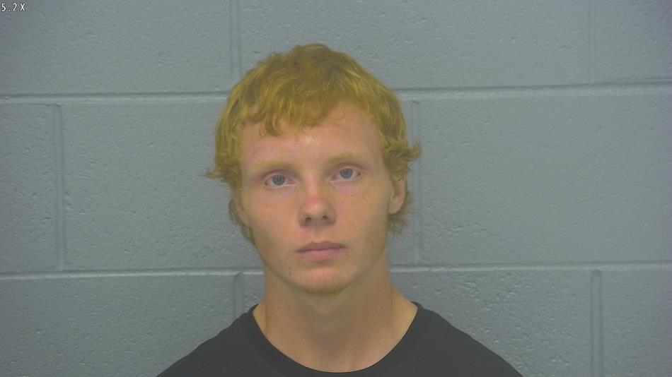 Arrest photo of NICKOLAS JUSTICE