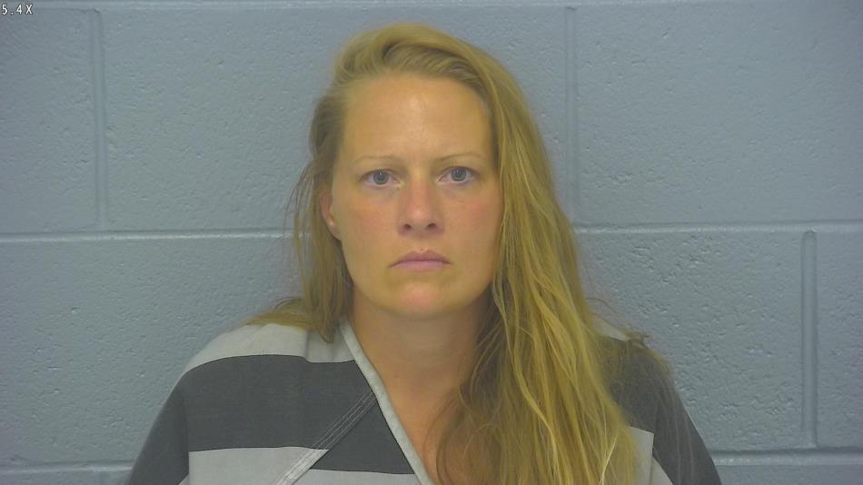 Arrest photo of NICOLE WILLIAMS