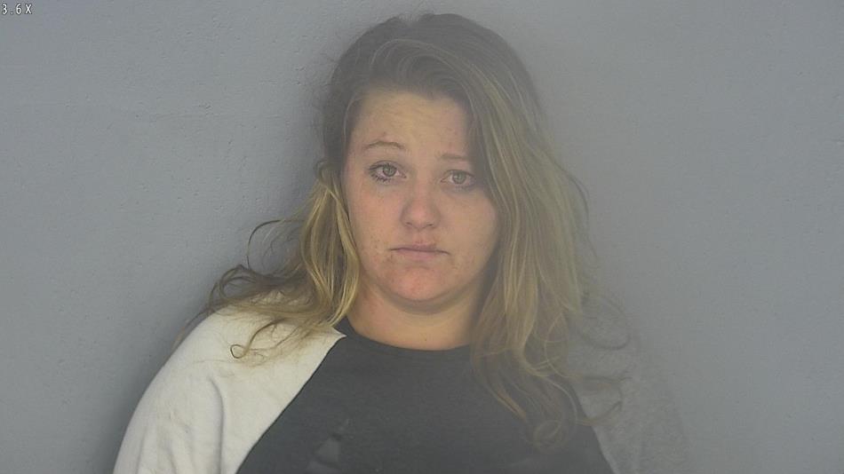 Arrest photo of NICOLE ADAMS