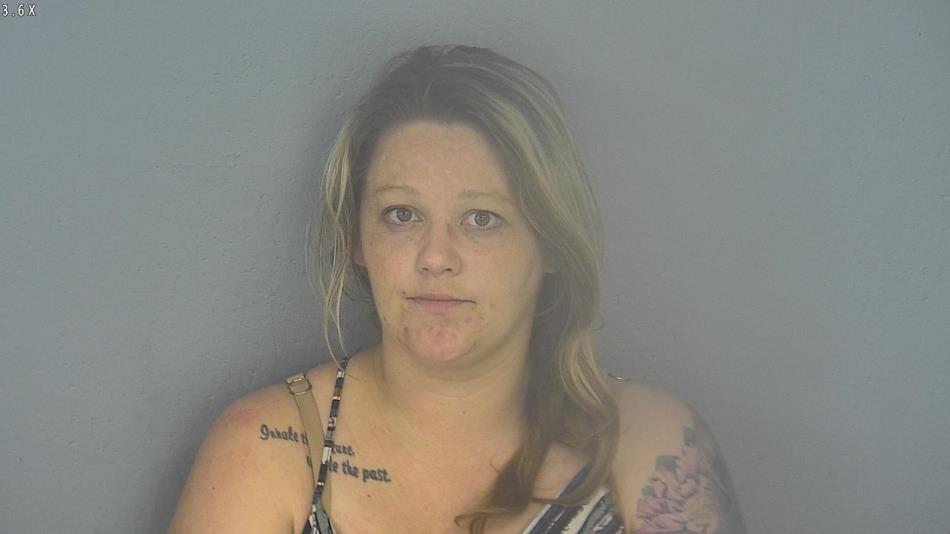 Arrest photo of NICOLE ADAMS