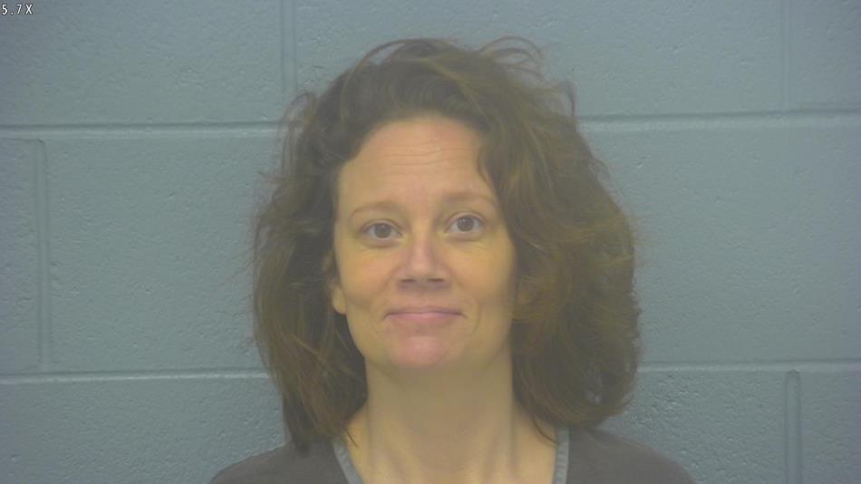 Arrest photo of NICOLE JOHNSON