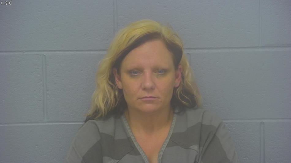 Arrest photo of NICOLE BURNETT