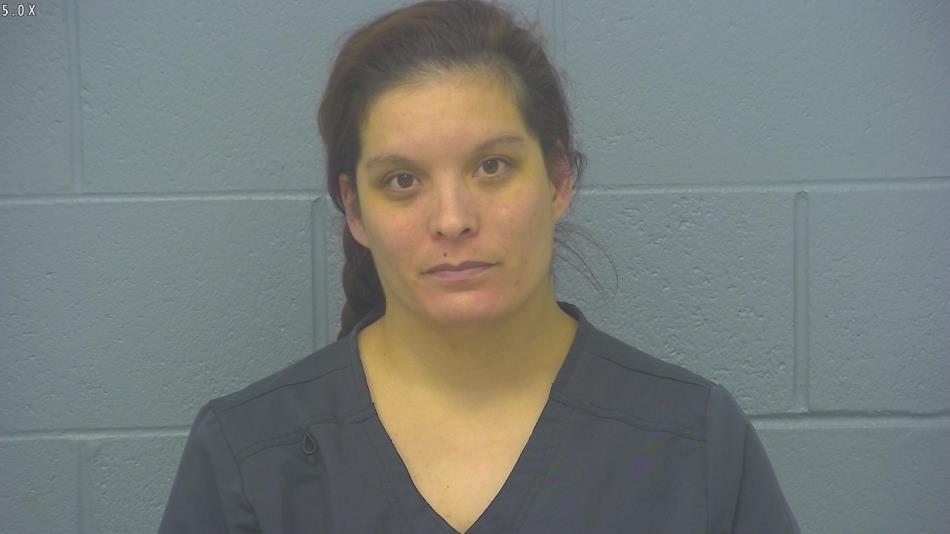 Arrest photo of NICOLE ROCHE