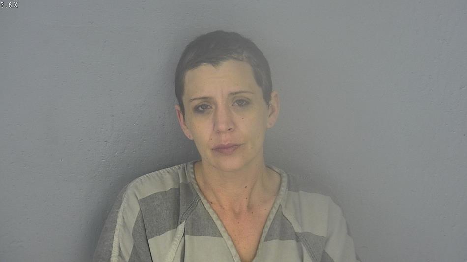 Arrest photo of NICOLE LUMLEY