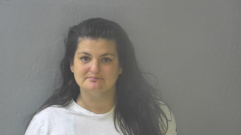 Arrest photo of NICOLE SNODGRASS