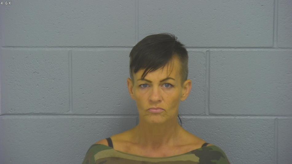 Arrest photo of NICOLE STEGEMAN