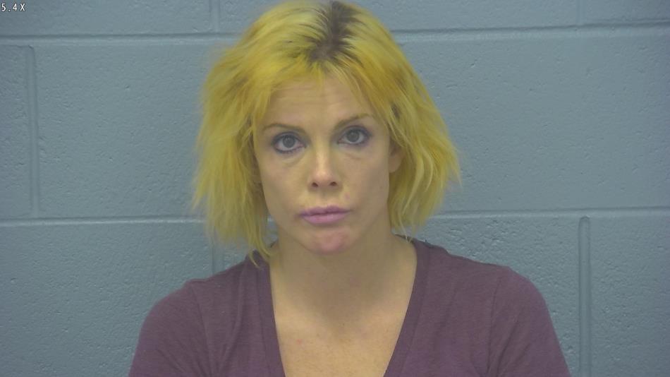 Arrest photo of NIKKI COLLINS