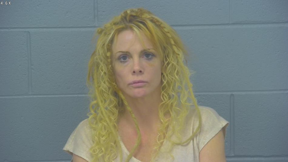 Arrest photo of NIKKI COLLINS