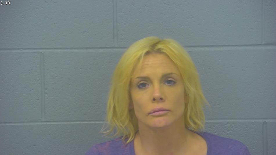 Arrest photo of NIKKI COLLINS