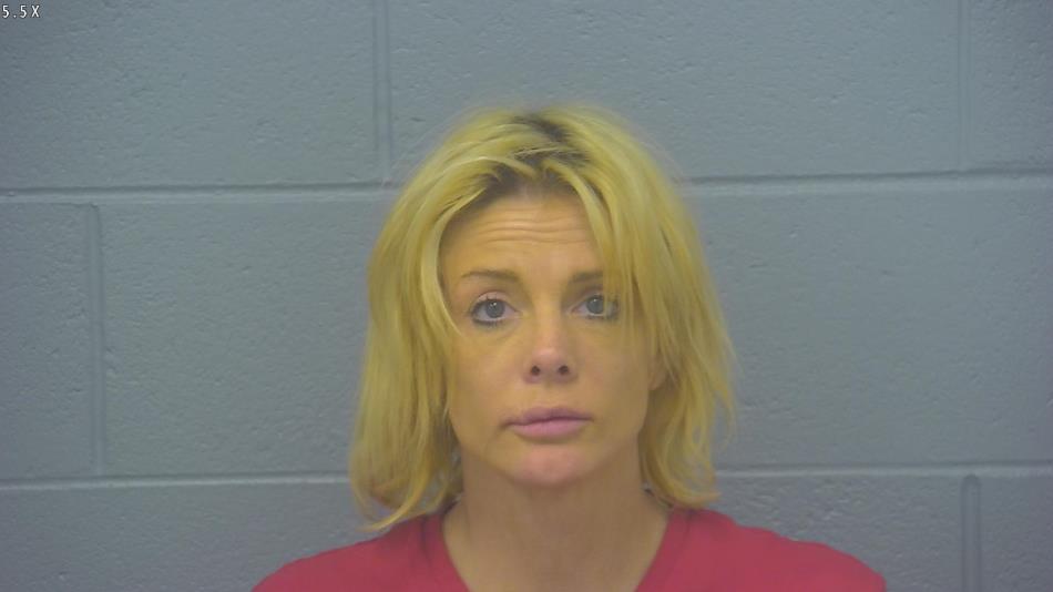 Arrest photo of NIKKI COLLINS