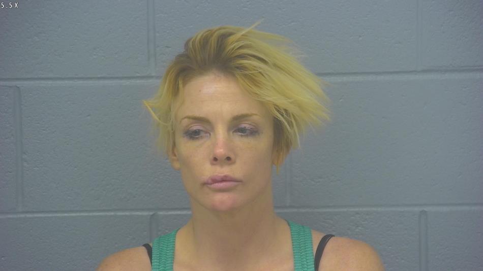 Arrest photo of NIKKI COLLINS