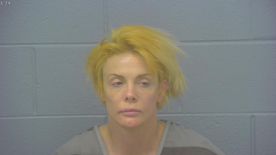 Arrest photo of NIKKI COLLINS