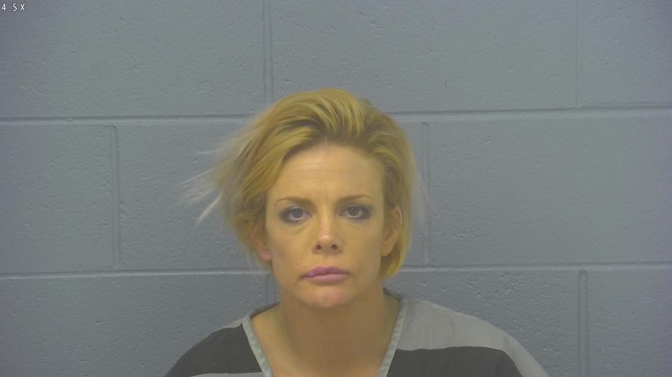 Arrest photo of NIKKI COLLINS