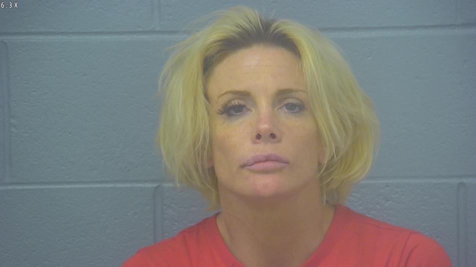 Arrest photo of NIKKI COLLINS