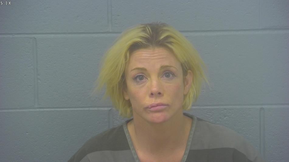 Arrest photo of NIKKI COLLINS