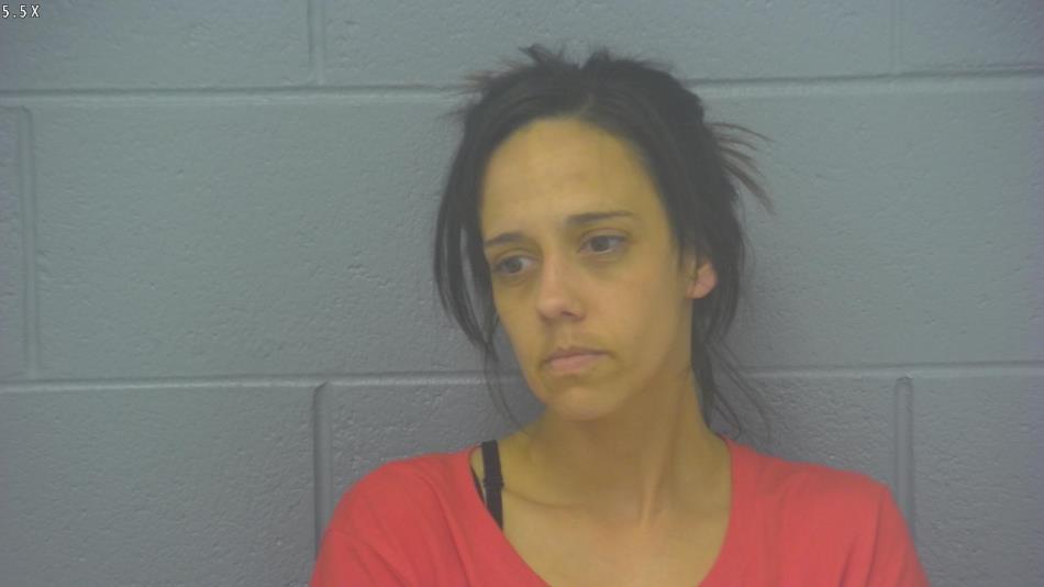 Arrest photo of NIKOLE BRISCO