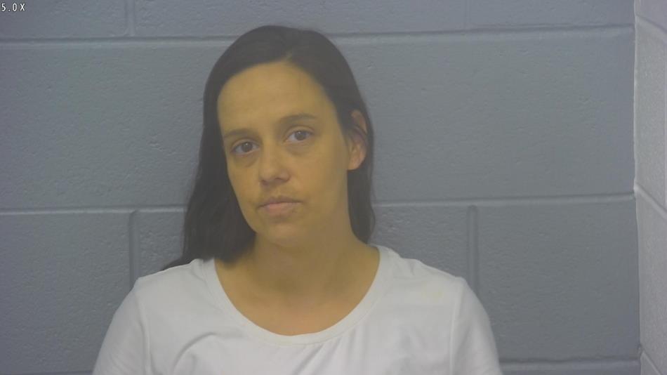 Arrest photo of NIKOLE BRISCO