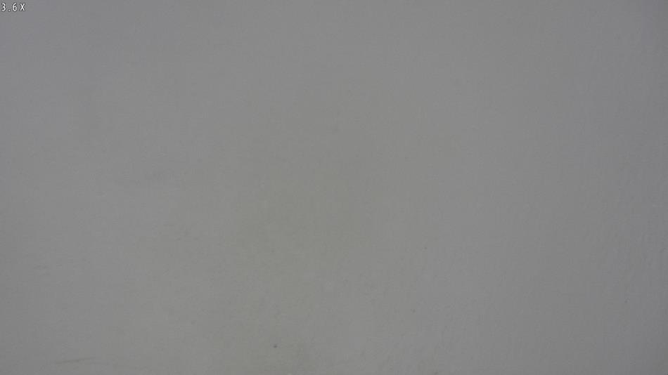 Arrest photo of NOAH HORNER