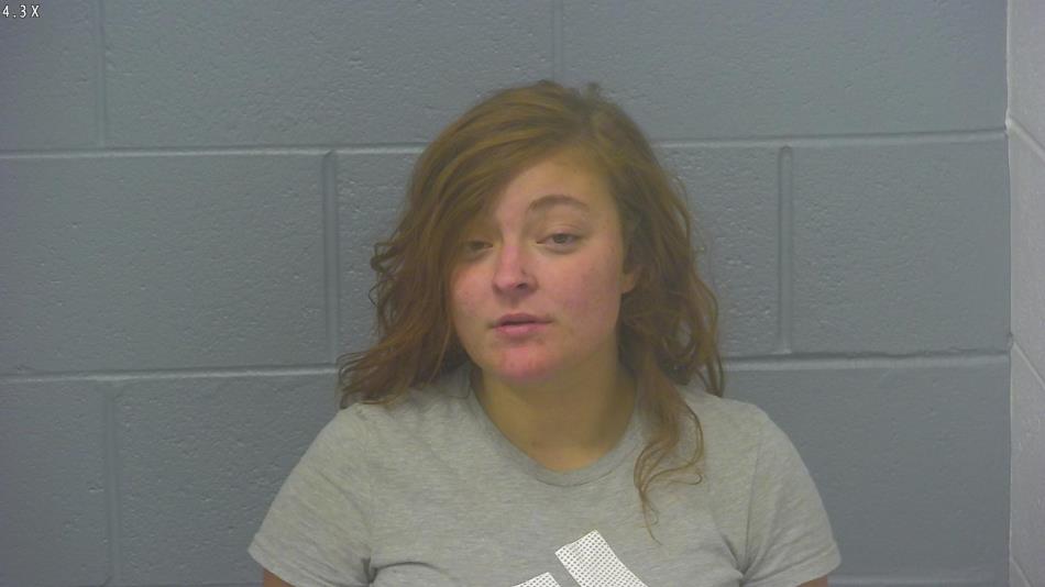 Arrest photo of OLIVIA DOUCETTE