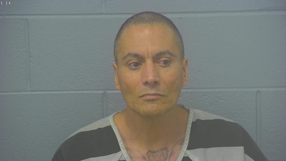 Arrest photo of ORLANDO VASQUEZ