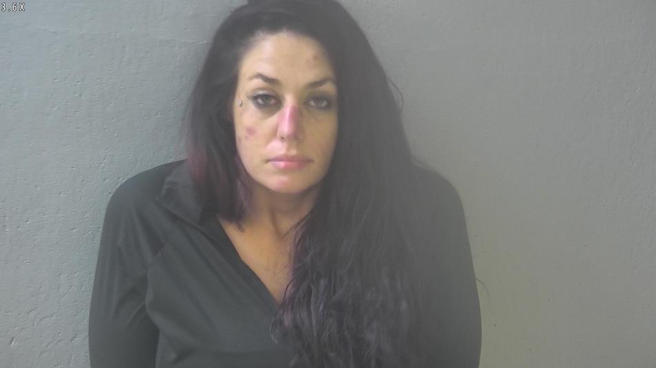 Arrest photo of PAIGE THORN