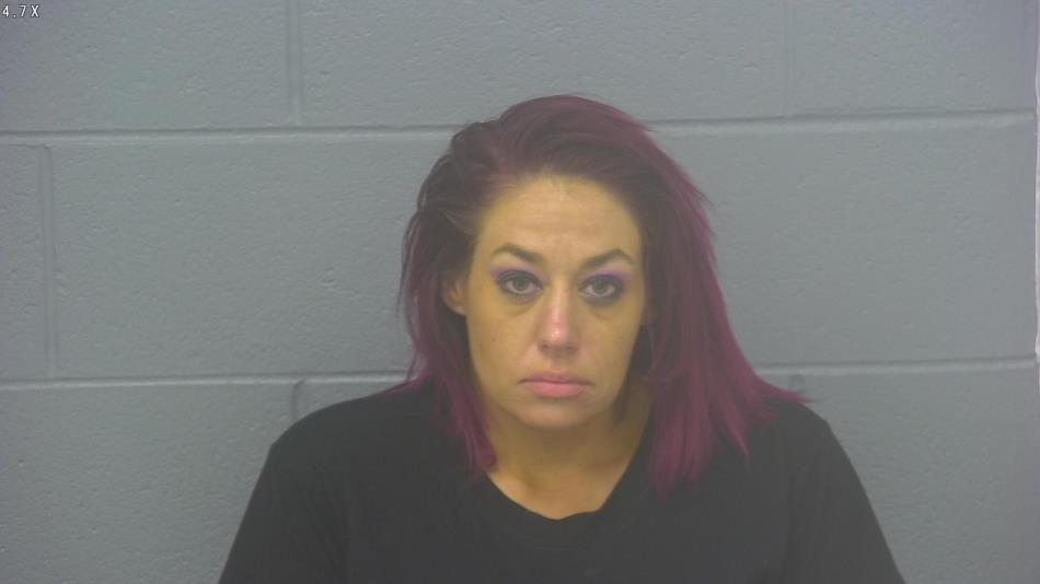 Arrest photo of PAIGE THORN