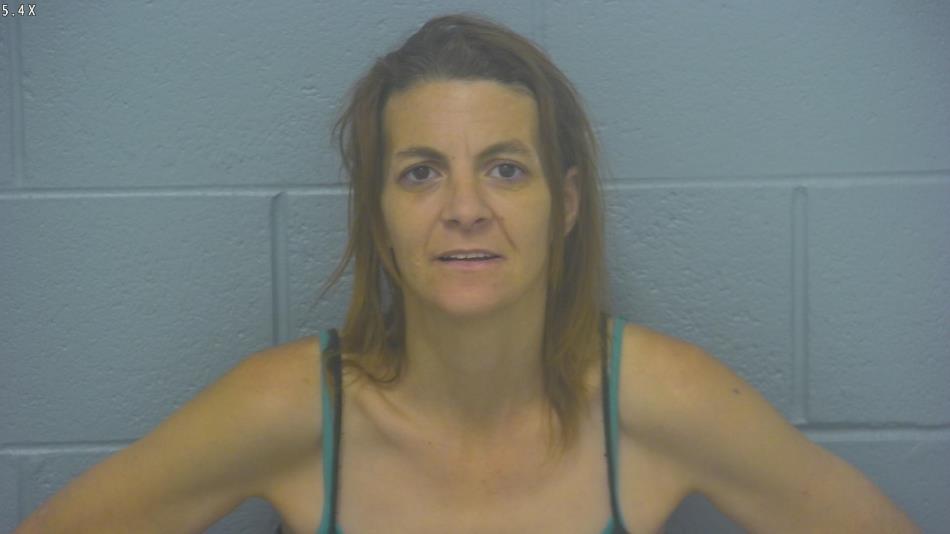 Arrest photo of PAMELA TINDLE-INGRAM