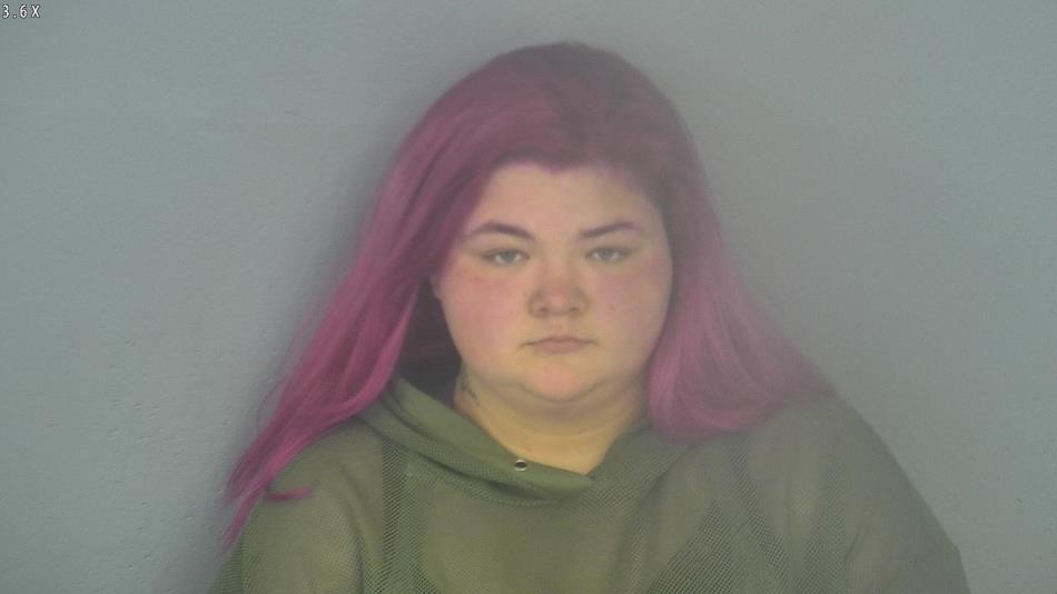 Arrest photo of PATRICIA BAUER