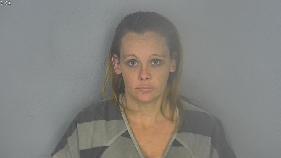 Arrest photo of PATRICIA FARRELL