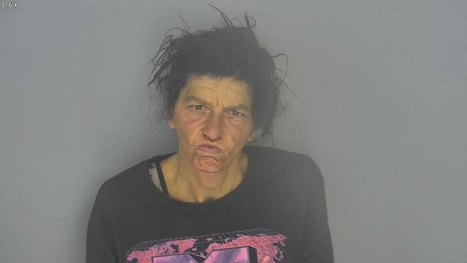 Arrest photo of PATRICIA SEELY