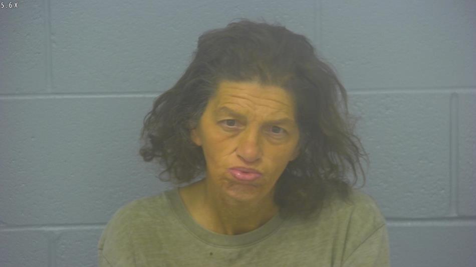 Arrest Photo of PATRICIA SEELY, arrested on 4/5/2024