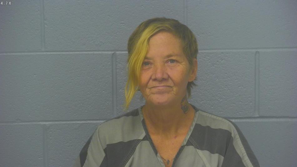 Arrest photo of PATRICIA BARNETT