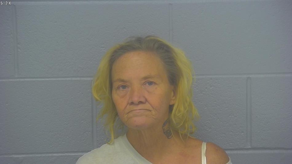 Arrest photo of PATRICIA BARNETT