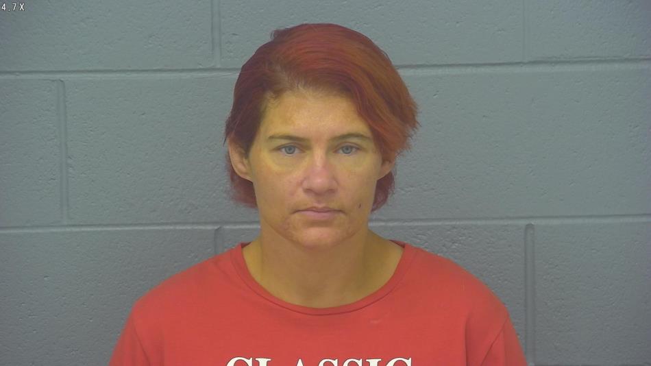 Arrest photo of PATRICIA HARDESTY