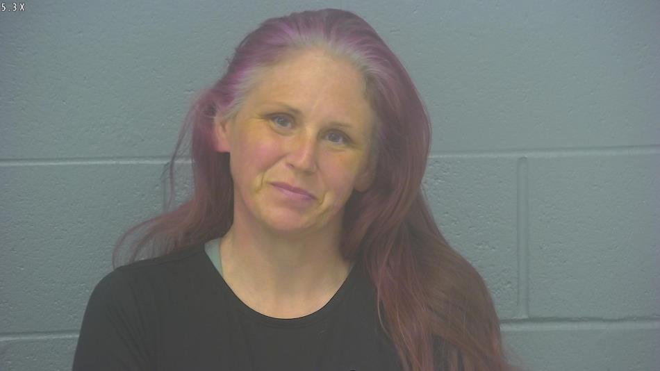 Arrest Photo of PATRICIA MCNAB in Greene County, MO.