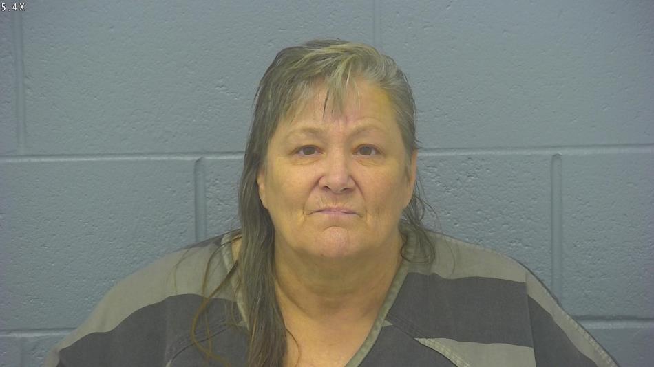 Arrest photo of PATRICIA DUDLEY